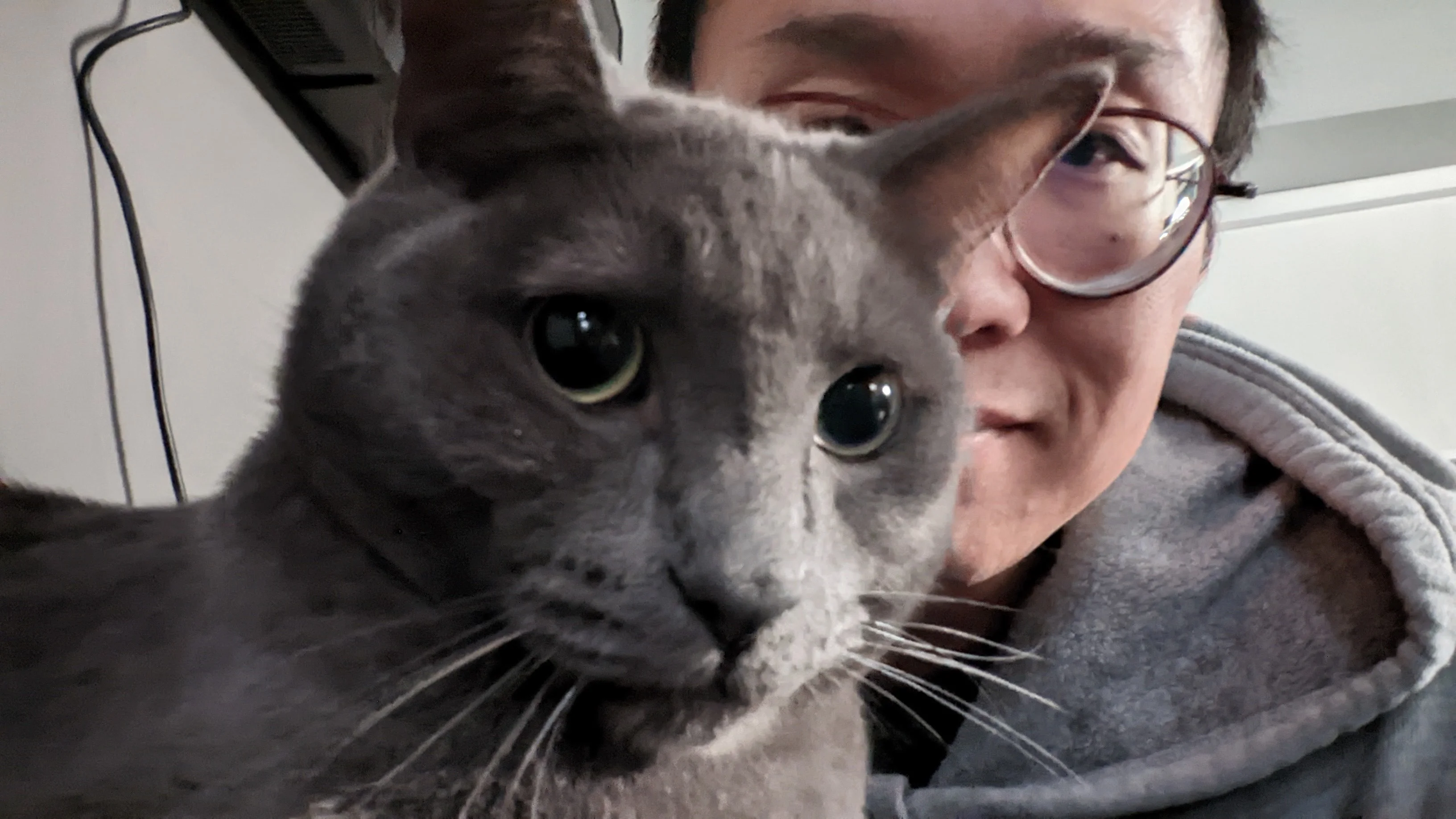 Alex Leung sitting with his cat Galactica, a relaxed moment showcasing their bond and Alex's love for his feline companion