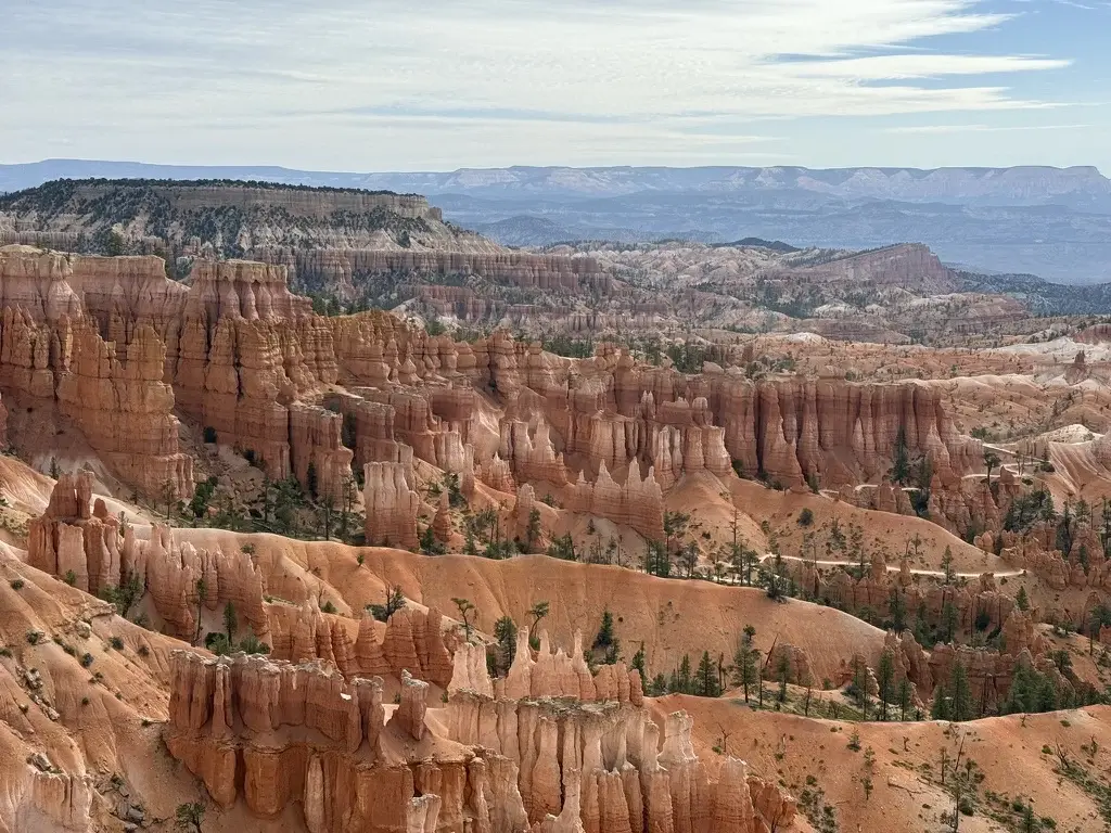Bryce Canyon amphitheater viewed from above with hoodoos stretching into the distance