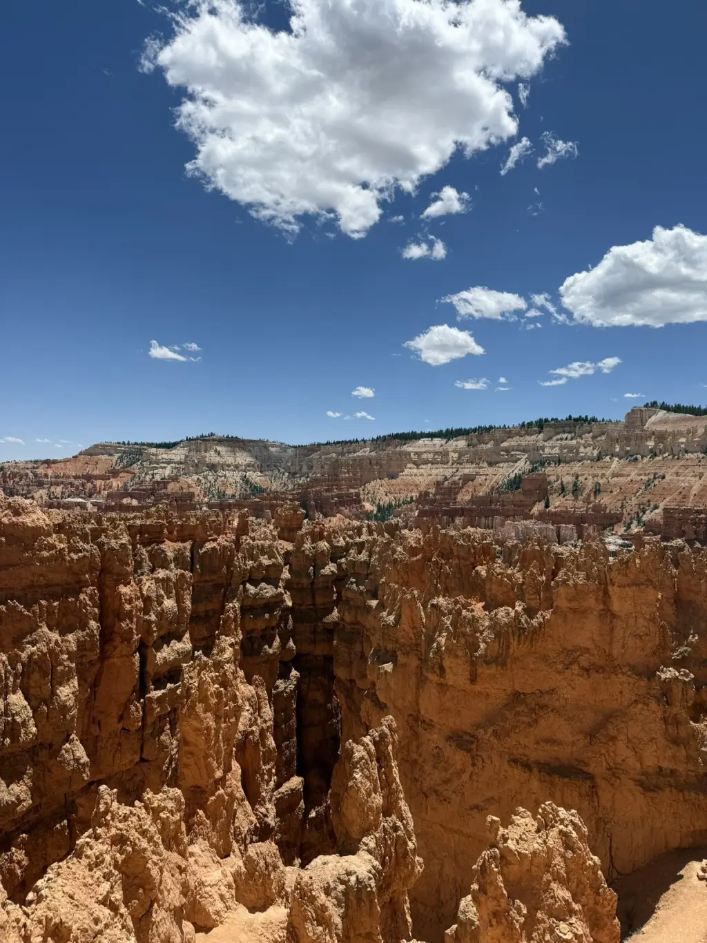 Bryce Canyon hoodoos below a blue sky with white clouds