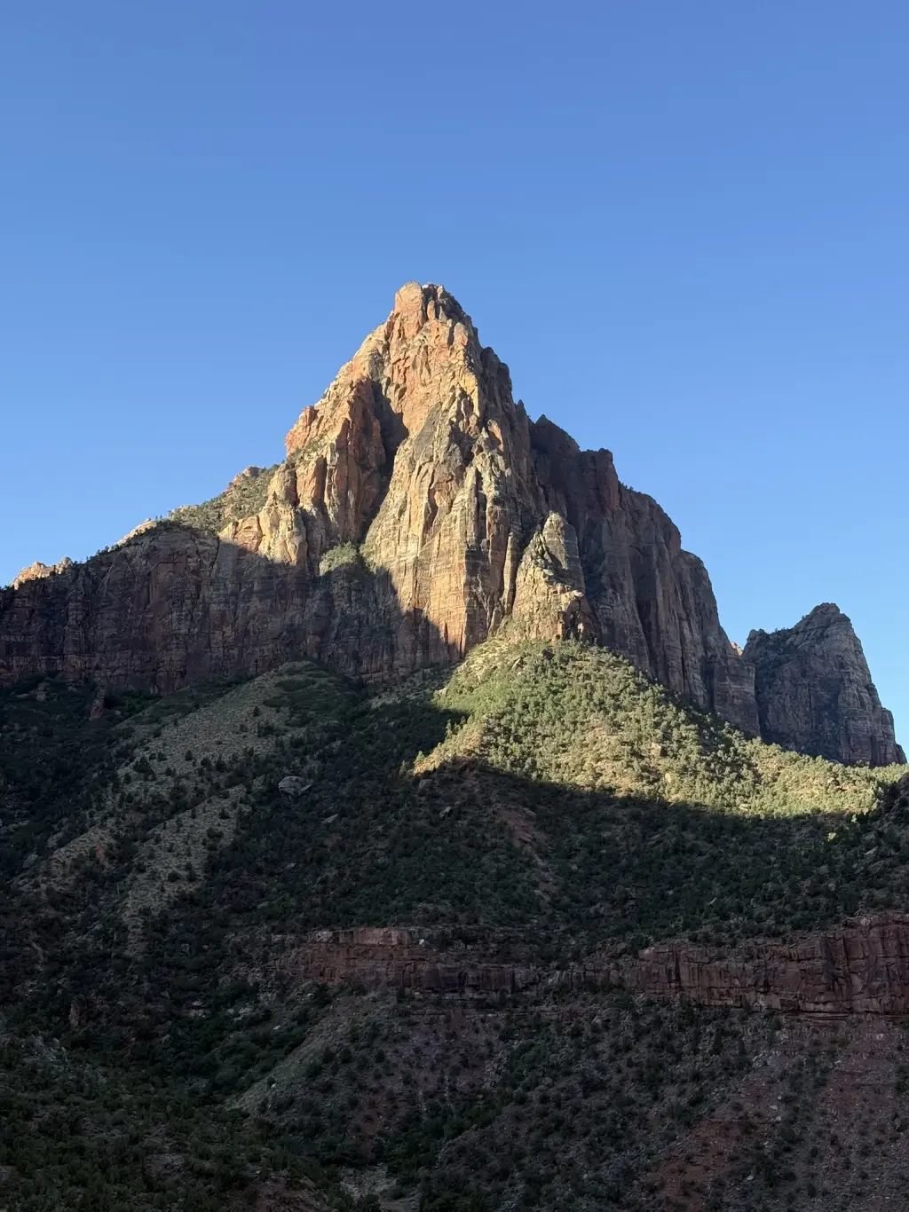 Zion cliffs seen from Watchman's Trail in morning light