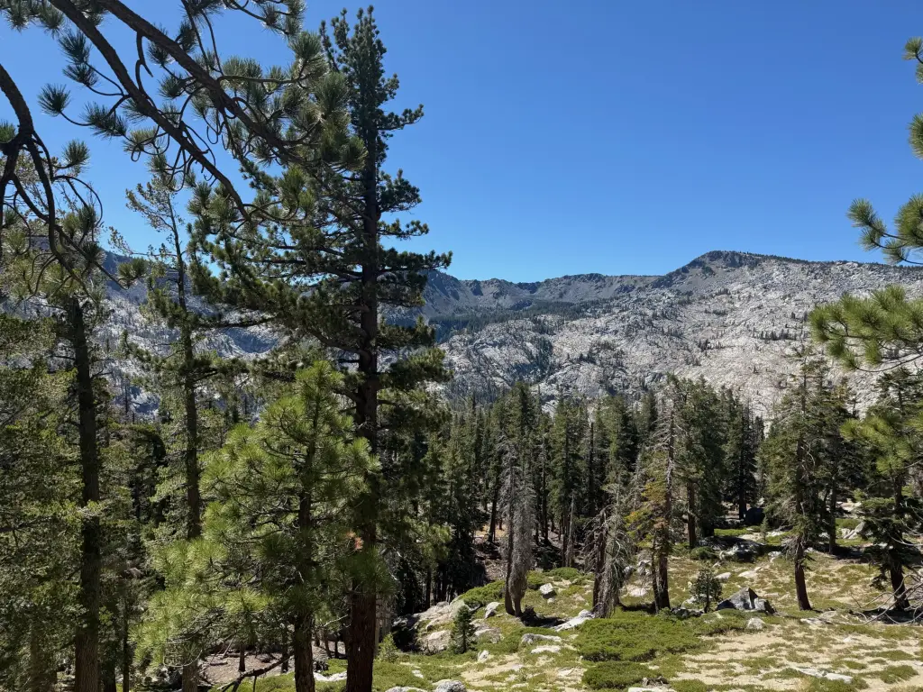 Pines in front of broad granite ridges in Desolation Wilderness